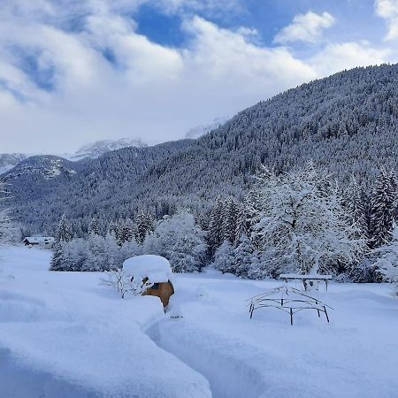 Maso Pin Bed & Breakfast Мадона ди Кампильо Екстериор снимка