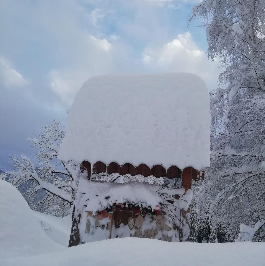 Maso Pin Bed & Breakfast Мадона ди Кампильо Екстериор снимка