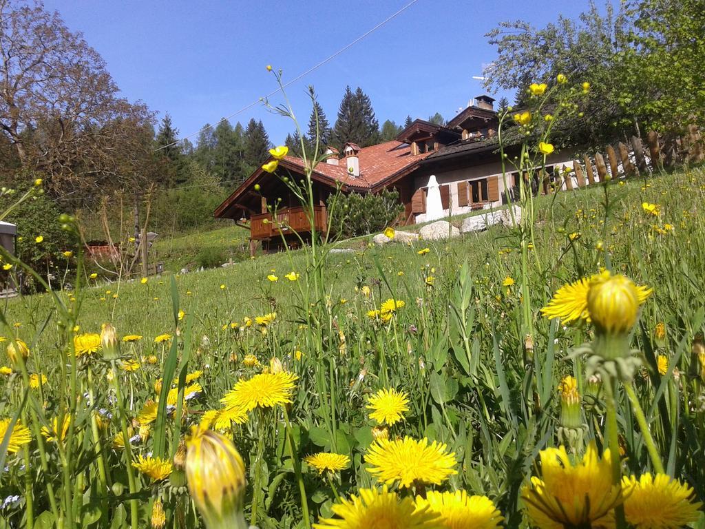 Maso Pin Bed & Breakfast Мадона ди Кампильо Екстериор снимка